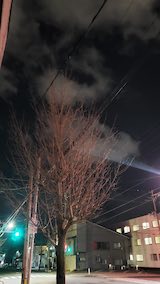 20250416_204831外の様子夜のはじめ頃2” hspace=