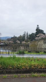 20250423_120347会津鶴ヶ城1” hspace=