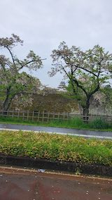 20250423_120400会津鶴ヶ城2” hspace=