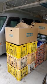 20250415_124325肥料運び4” hspace=