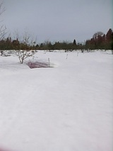 20060224山雪に埋もれた斜面