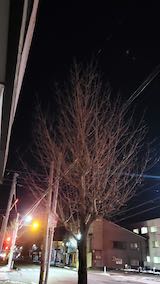 20250318_214012夜のはじめ頃2” hspace=