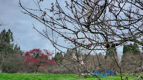 20250415_112823ͻߤβ3 hspace=