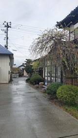 20250423_094125外の様子朝2” hspace=