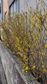 20250412_173316󥮥祦β1 hspace=