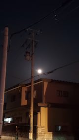 20250412_190809ͻΤϤẢ2 hspace=