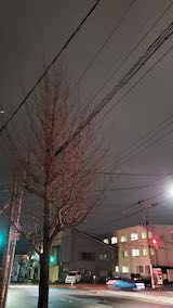 20250417_204419外の様子夜のはじめ頃2” hspace=