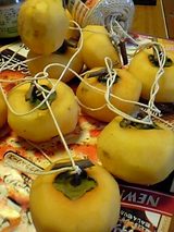 20051030�Ĥ뤷��