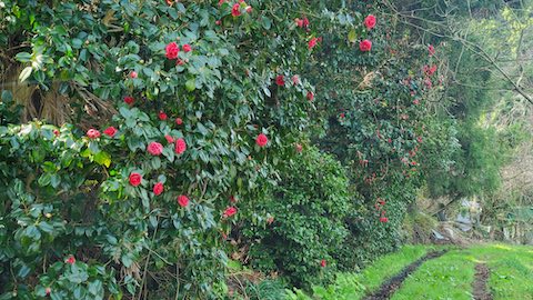 20250419_133434ؤβ֤餭Ϥ hspace=