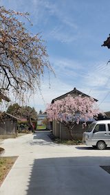 20250422_130811ͻ᤮2 hspace=