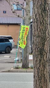 20250413_150923ͻ᤮1 hspace=