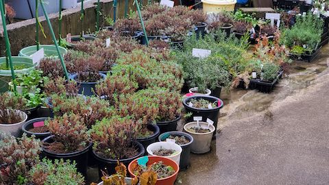 20250418_173423ϡȭ hspace=