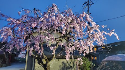 20250421_184606ŤͻҹȻ޿2 hspace=