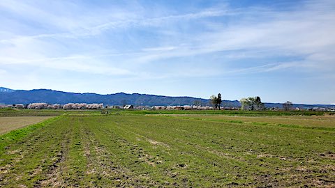 20250422_135922Ťʵܺ1 hspace=