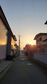 20250412_173416ͼƤ hspace=