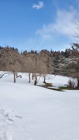 20250307_115501_�ڥȥ饹���å��������1