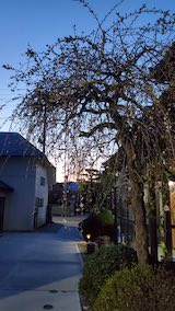 20250421_184615外の様子会津の夕方” hspace=