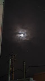 20250315_215545ͻΤϤẢ1 hspace=