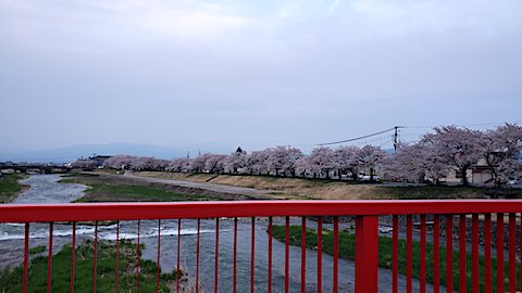 20250422_181527Ťʵܺ3 hspace=