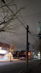 20250424_210456外の様子夜のはじめ頃3” hspace=