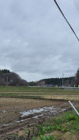 20250415_115545山からの帰り道の様子” hspace=