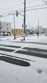 20251231_120328�����ͻ���᤮1�� hspace=