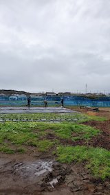 20250424_110321ラベンダーの苗木配達4” hspace=