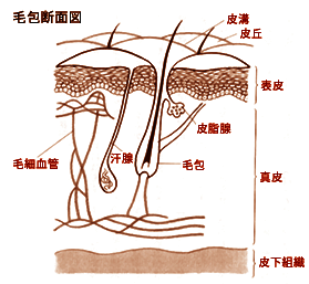 20100726ke6.gif