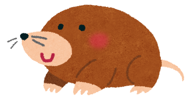 animal_mogura