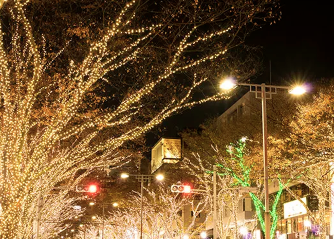 スクリーンショット 2024-12-01 0.34.51