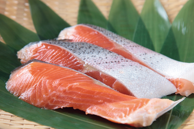 fish201310