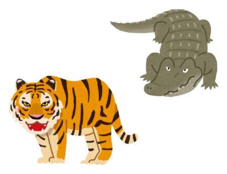 animal_tora