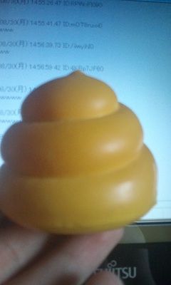 20100831unko.jpg