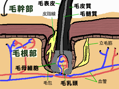 20100726ke7.gif