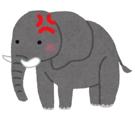animal_zou