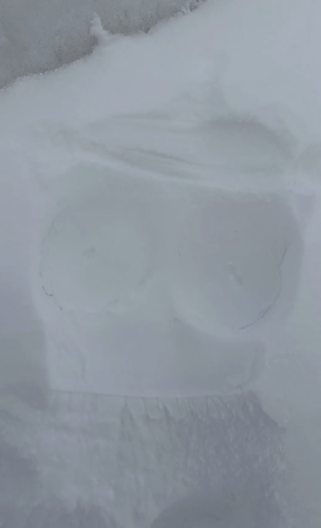 スクリーンショット 2026-01-28 17.12.26