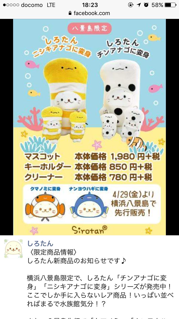 しろたんを皆にも知ってほしいんや Bipブログ しろたんを皆にも知ってほしいんや Bipブログ