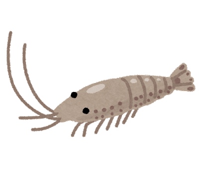 fish_ebi_yamato_numaebi