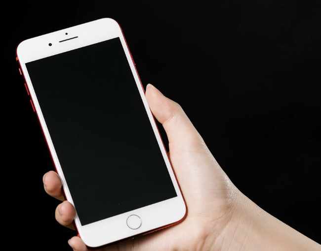 スクリーンショット 2025-01-21 12.08.55