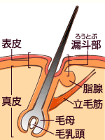 20100726ke1.gif