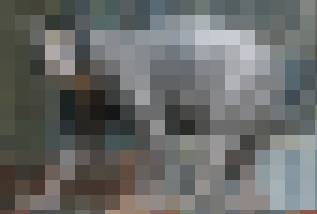 Wvltfxf