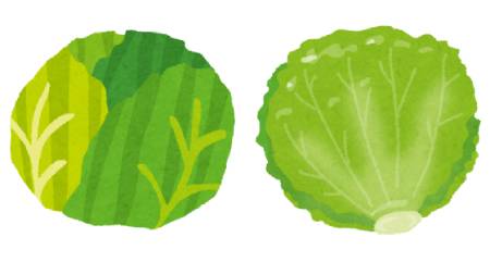 food_lettuce