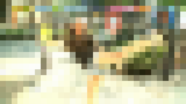 MT675eKl