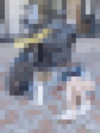 XhqiRS0