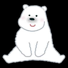 images (8)