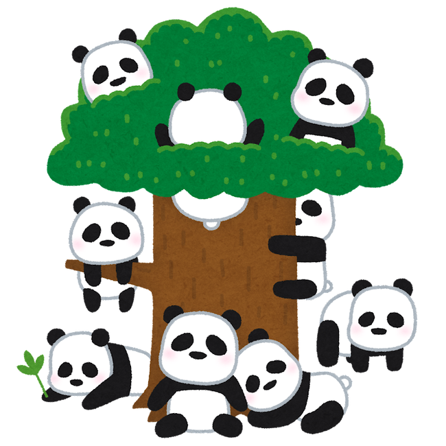 animal_panda_kichi