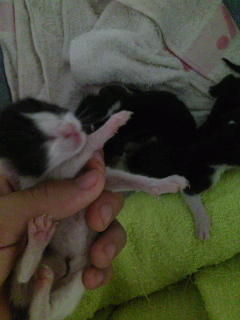 9c46f04f575cf23981cabf04e61d5f10