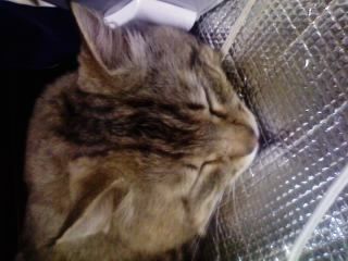 2c6f16422ae486b575755ece9facbdd6