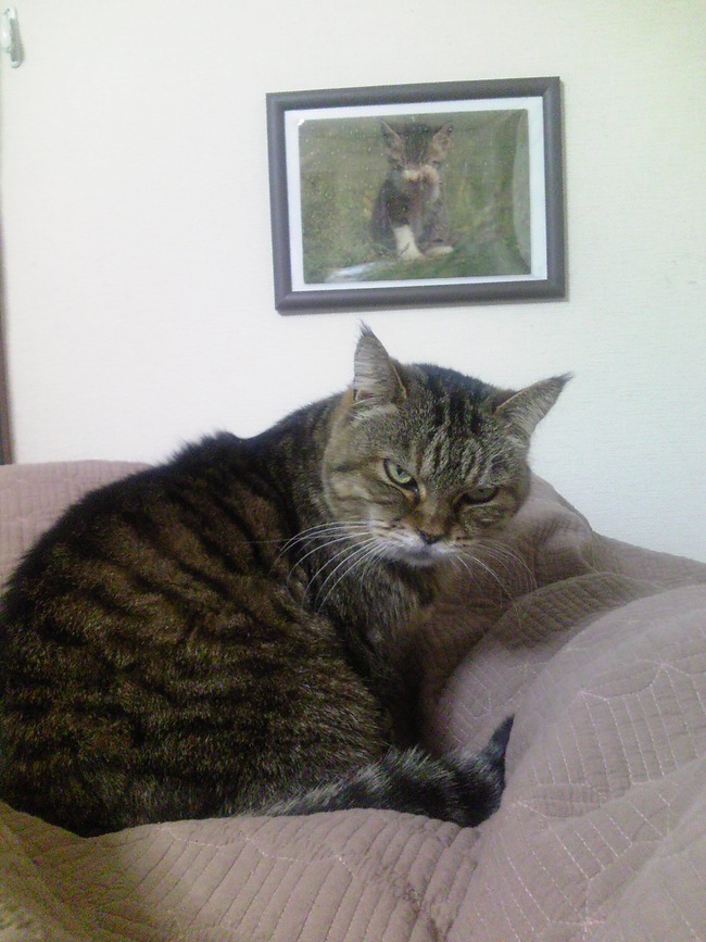 0c9b163c36c182d39167abffcab1f556