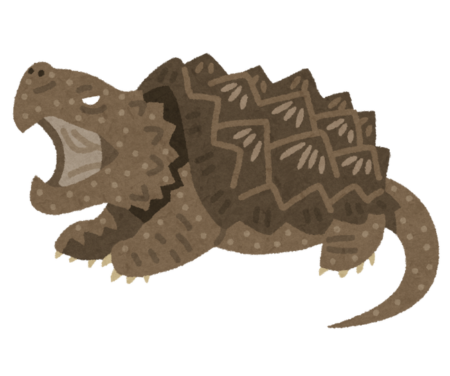 turtle_wanigame